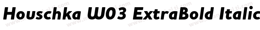 Houschka W03 ExtraBold Italic字体转换